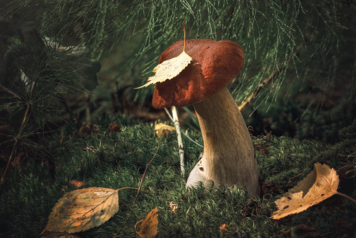 �1760007 �������(a): ����������:2400x1600